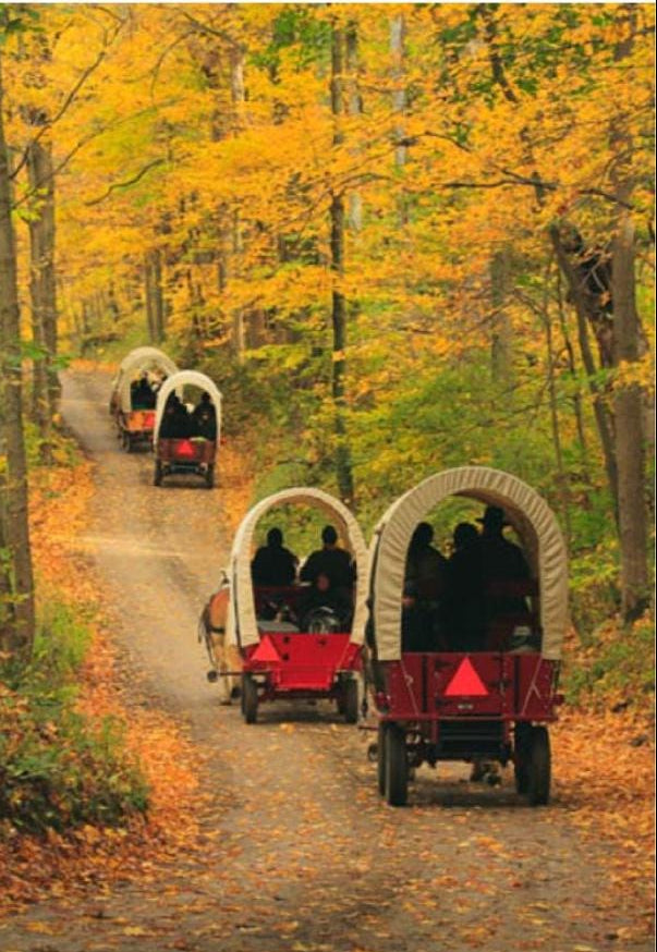 Canvas - Picture Frame - Wall Art - Wooden Frame - Framed Antique Print - Amish Handmade - Farmhouse Decor - Housewarming Gift -Choose Color