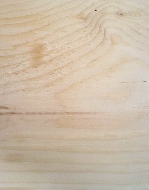 2 Door Cabinet - Fully Assembled - TV Stand - Primitive - Storage - TV Cabinet - Home Décor- Amish Handmade - Multipurpose Cabinet - Rustic