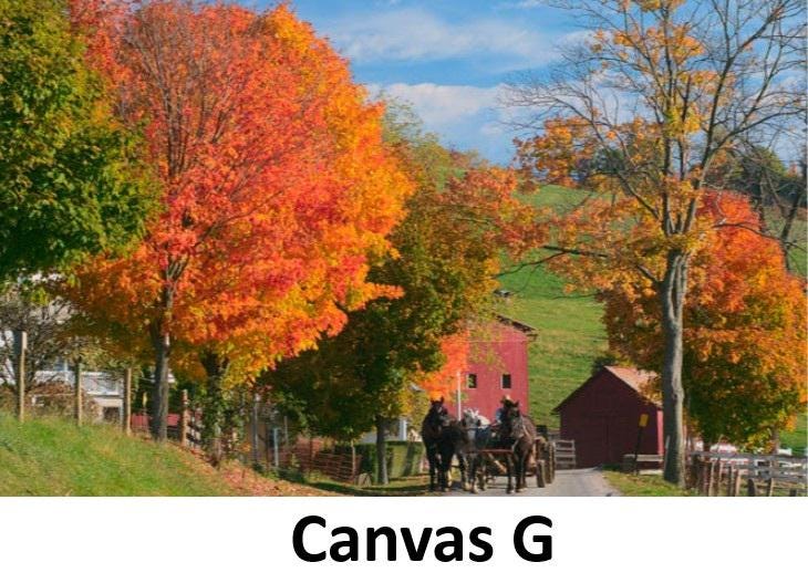 Canvas - Picture Frame - Wall Art - Wooden Frame - Framed Antique Print - Amish Handmade - Farmhouse Decor - Housewarming Gift -Choose Color