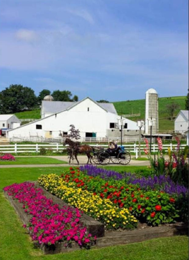 Canvas - Picture Frame - Wall Art - Wooden Frame - Framed Antique Print - Amish Handmade - Farmhouse Decor - Housewarming Gift -Choose Color