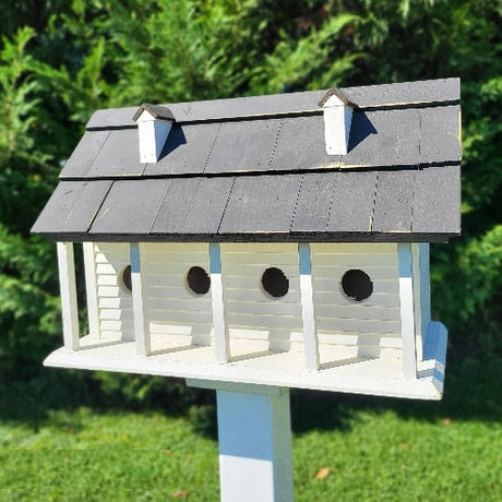 Purple Martin