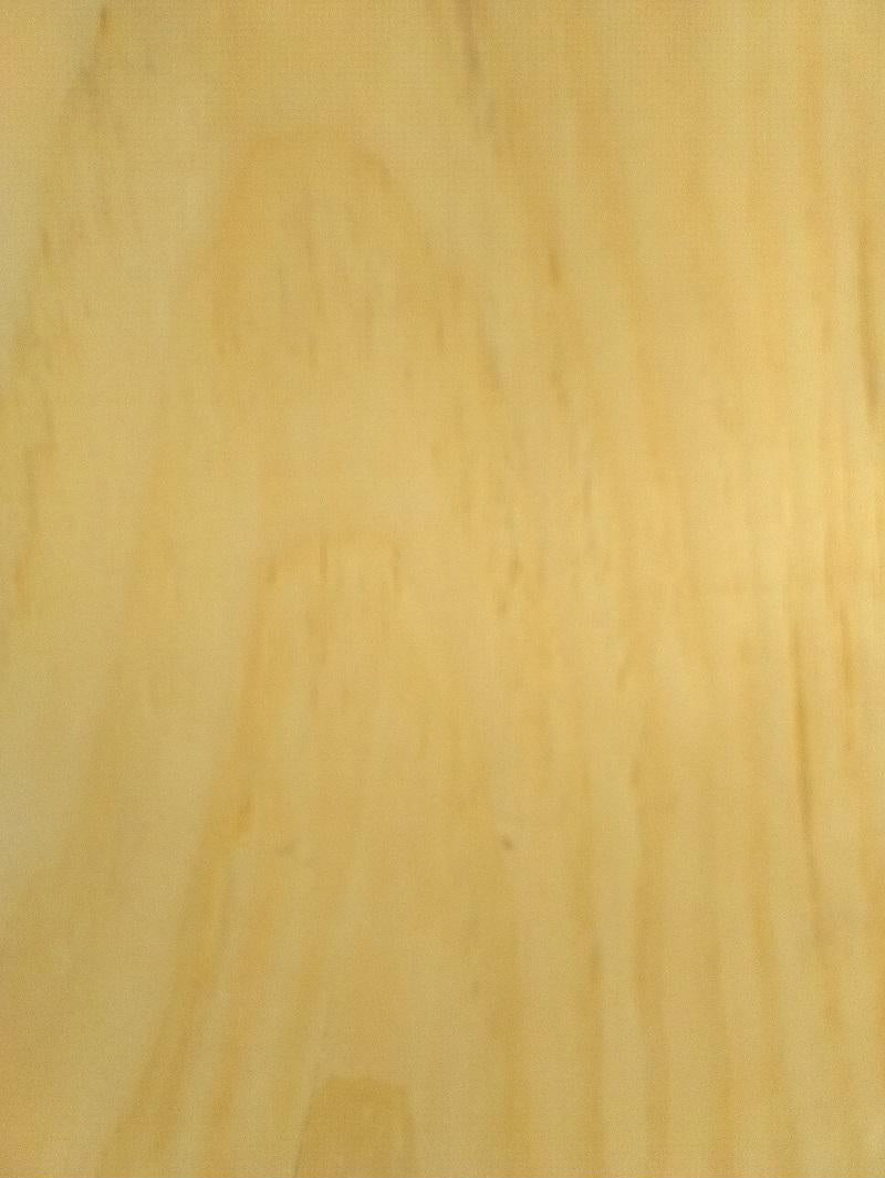 2 Door Cabinet - Amish Furniture - TV Stand - Primitive - Storage - Farmhouse - Vintage Cupboard -Multipurpose Cabinet - Rustic - Handmade