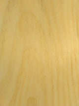 2 Door Cabinet - Amish Furniture - TV Stand - Primitive - Storage - Farmhouse - Vintage Cupboard -Multipurpose Cabinet - Rustic - Handmade