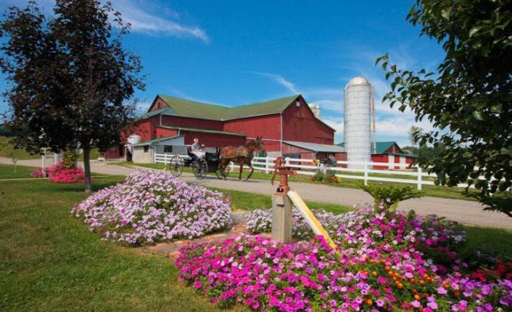 Canvas - Picture Frame - Wall Art - Wooden Frame - Framed Antique Print - Amish Handmade - Farmhouse Decor - Housewarming Gift -Choose Color