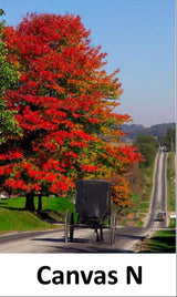 Canvas - Picture Frame - Wall Art - Wooden Frame - Framed Antique Print - Amish Handmade - Farmhouse Decor - Housewarming Gift -Choose Color