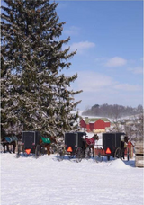 Canvas - Picture Frame - Wall Art - Wooden Frame - Framed Antique Print - Amish Handmade - Farmhouse Decor - Housewarming Gift -Choose Color